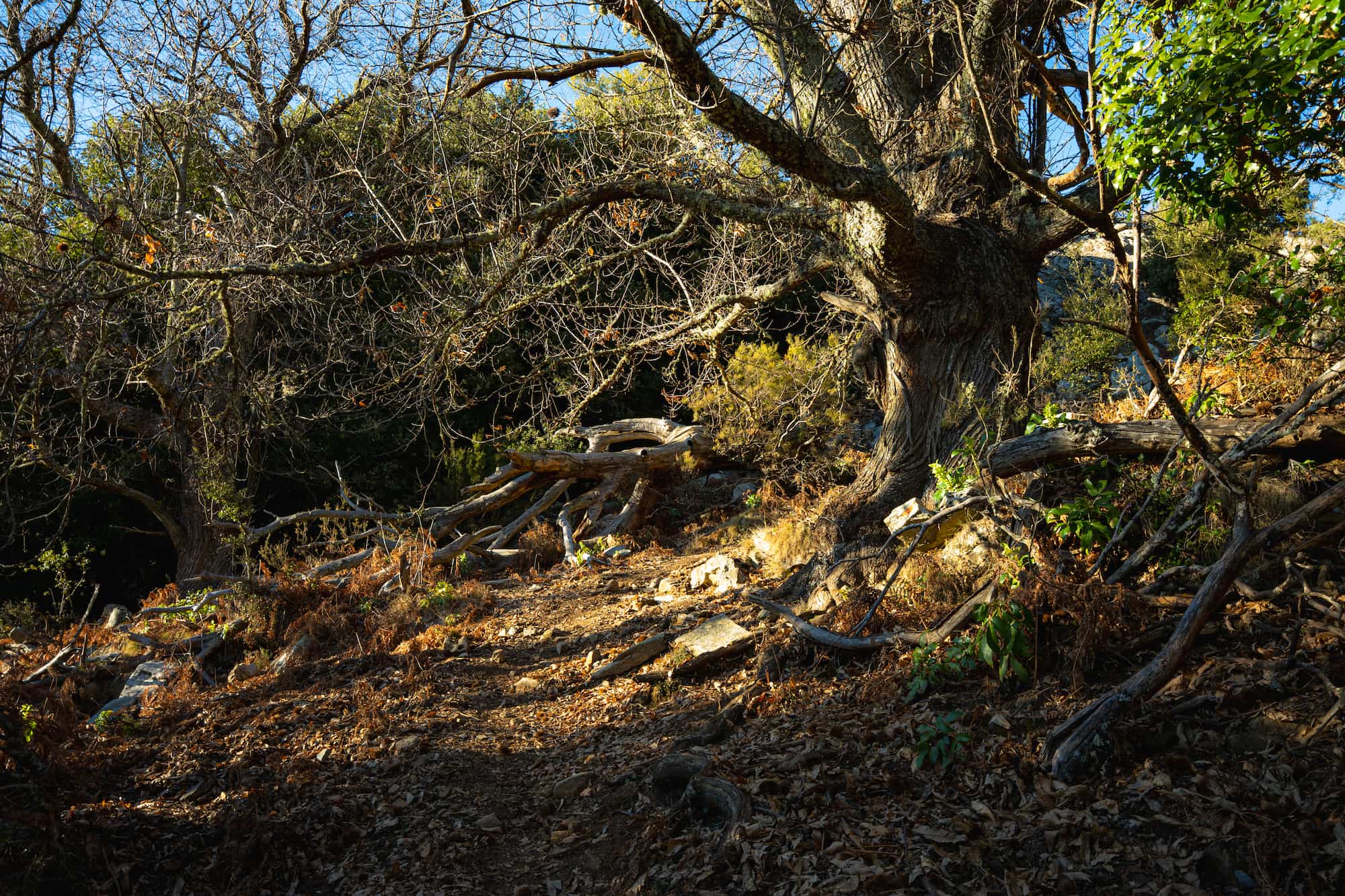 Publication Instagram